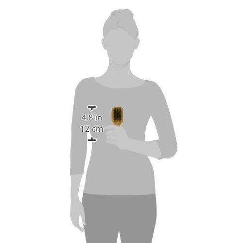 Annie International:Annie Hard Mini Club Boar & Nylon Bristle Brush, 36 Count Bulk Men's Brushes, Light Brown