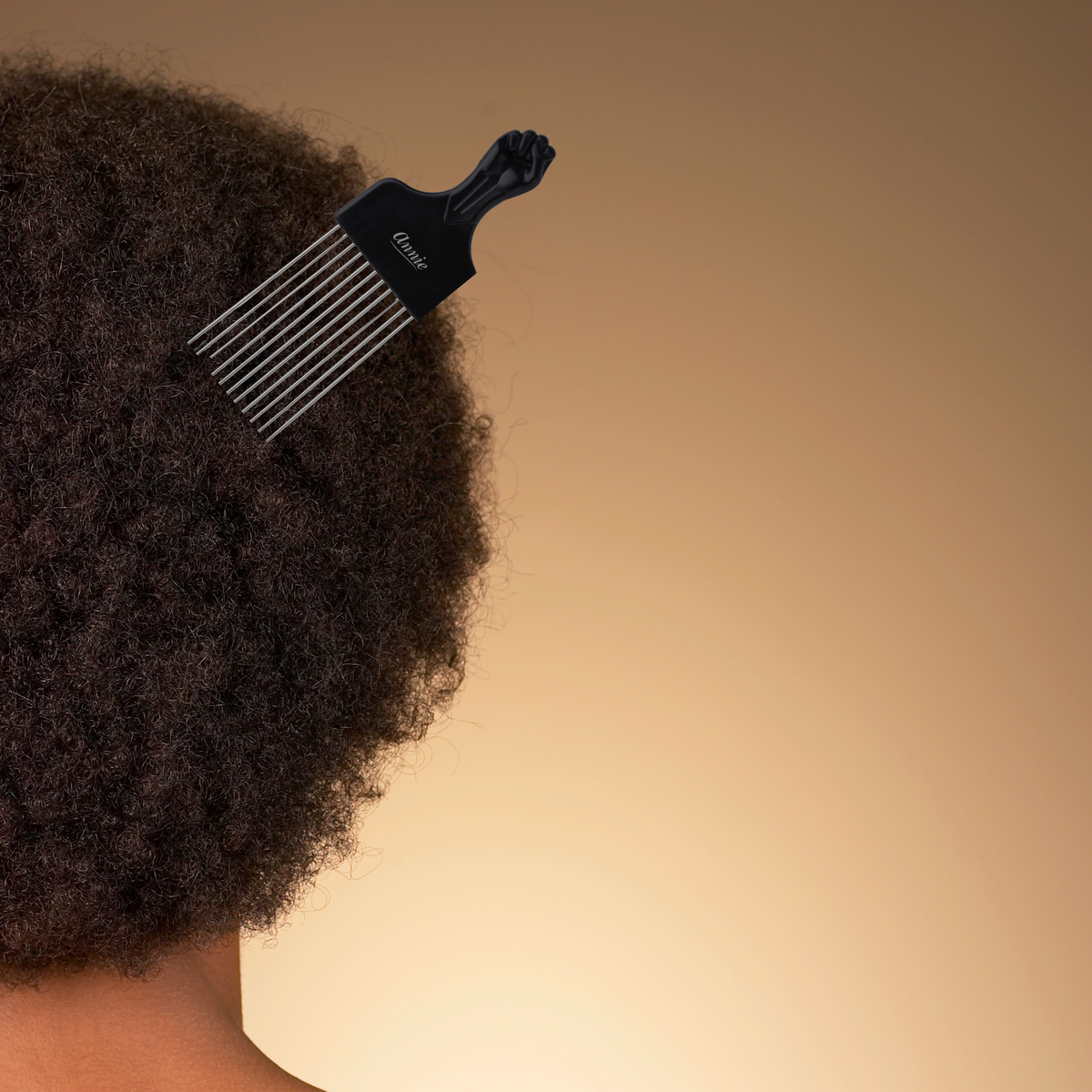 Annie Afro Styling Pik 4 Inch Long, 1 Count, Black – Annie Annie Afro Styling Pik 4 Inch Long, 1 Count, Black – Annie