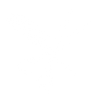 Professional Quality